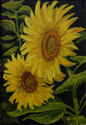 Painting--Oil-FloralSUNFLOWERS