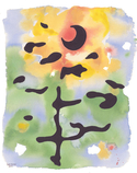 Prairie Flower