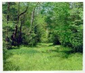 Painting--Watercolor-LandscapeGreen Path