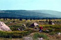 Painting--Oil-FloralValley Trail