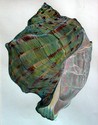 Drawing--Paper-Still LifeGreen Shell