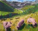 Swiss Browns & Swiss Pinks (Tavr�)