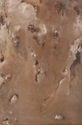 Written%20on%20the%20Body (thumbnail)