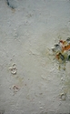 The%20Probability%20of%20Impermanence (thumbnail)