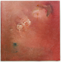 Ranunculus (thumbnail)