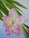 Inverted Gladiolus