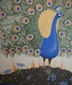 Peacocks Peacocks (thumbnail)