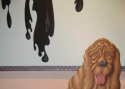Double Droopy Double%20Droopy%20 (thumbnail)