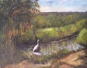 Egret in the Wetlands