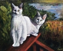 Believe it or not  we're Ferals!