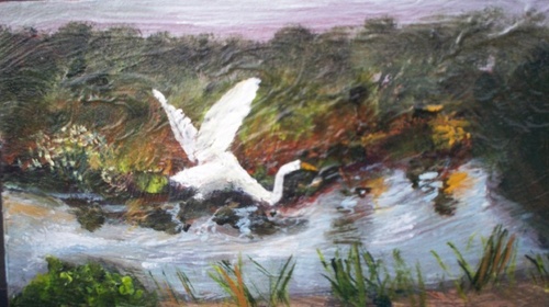 Flying Egret