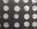 Many%20moons. (thumbnail)