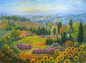 Tuscan Countryside