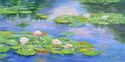 Water Lilies
