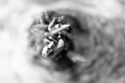 untitled (thumbnail)
