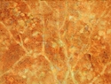 %20Fall (thumbnail)