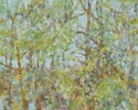 %20Held%20by%20Trees%2C%20Spring (thumbnail)