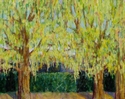 Peppertrees (thumbnail)