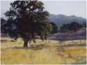 Carol Ball - Magnificent Oak