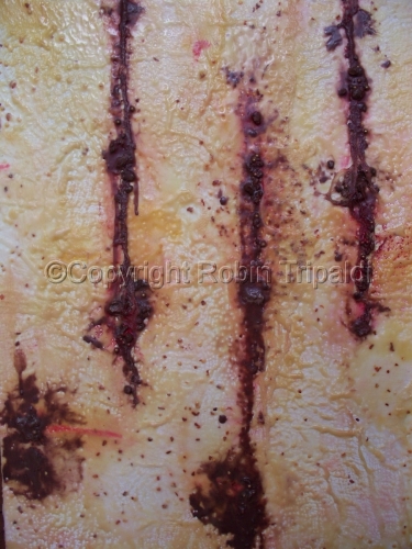 Hanging%20by%20a%20Thread%20-%20Encaustic (large view)