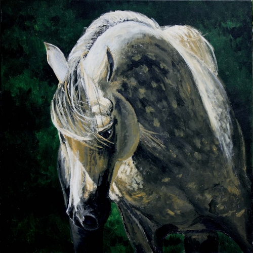 Painting-Animals-Noble Arabian