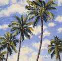 Painting--Oil-LandscapeSky Palms
