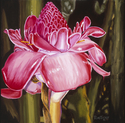 Painting--Oil-FloralTorch Ginger