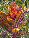 Painting--Oil-FloralTropical Ti