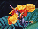Painting--Oil-FloralCannas