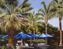 Painting--Oil-LandscapeOasis