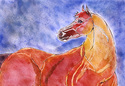 Andrea Zimon,watercolor,red,horse,equine,  - Animals Painting