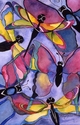 Butterflies & Dragonflies Butterflies%20%26%20Dragonflies (thumbnail)