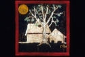 Golden Harvest Golden%20Harvest (thumbnail)