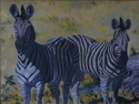 Curious (thumbnail)