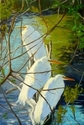 Early%20Spring (thumbnail)