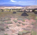 Valley%20Sage (thumbnail)