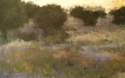 New%20Mexico%20morning (thumbnail)