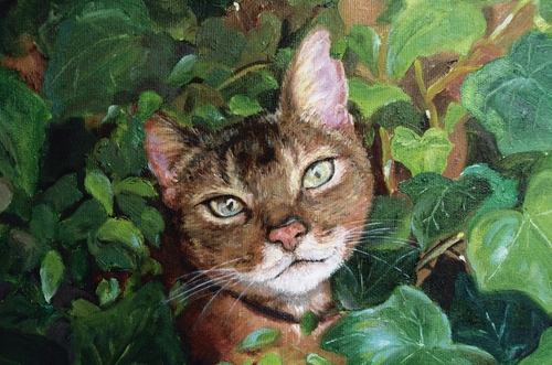 Abyssinian Cat