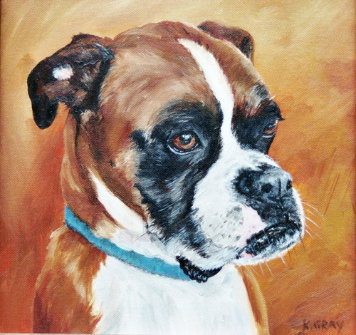 Boxer-