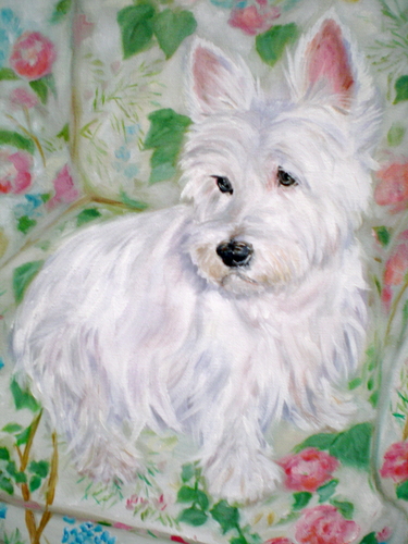 West Highland Terrier- 