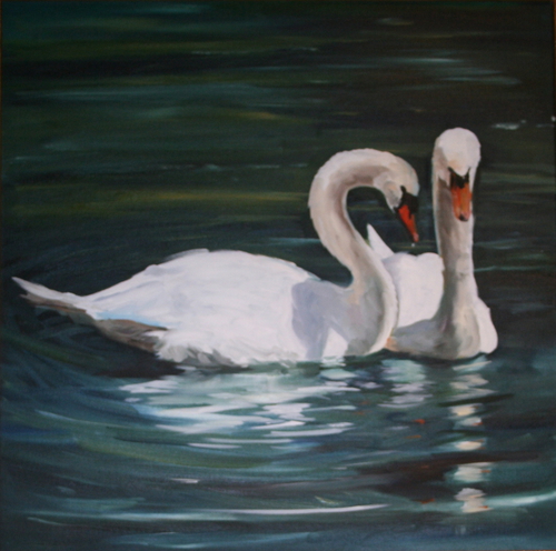 Cave Hill Swans