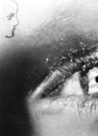 Surreal%20Eye%20With%20Text%20in%20Pupil%2C%20Black%20and%20White (thumbnail)
