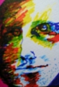 Portrait%2C%20Head%2C%20Face%2C%20Bearded%20Man (thumbnail)