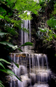 Tropical%20Waterfall (thumbnail)