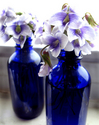 Blue%20and%20white (thumbnail)