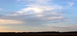 Brushstrokes (thumbnail)
