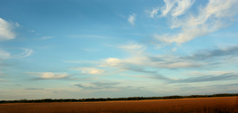 Brushstrokes%202 (thumbnail)