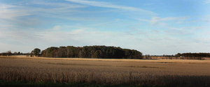 Farmland (thumbnail)