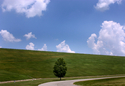 Simplicity%20 (thumbnail)