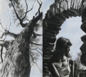 Archway (thumbnail)